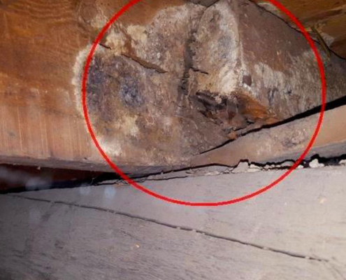 I found rotten beams & shims on top of an old log used for floor structure.