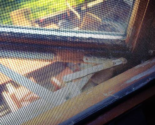 Black mold & rotten windows. Had they simply closed and latched their windows, this problem would not have occurred. Many items I find are simply caused by people not taking care of their homes. House are kind of like cars: you have to maintain them. Kind of like changing the oil once in a while.